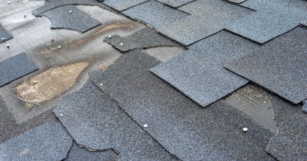 4 point inspection lakeland florida